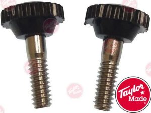 BIMINI DECK HINGE SCREWS - BLACK (2)