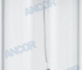 BULB FESTOON  12V. 10W. (2).