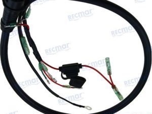 CDI CABLE ASSY (10 PIN)