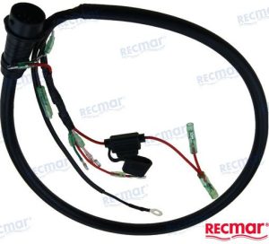 CDI CABLE ASSY (10 PIN)