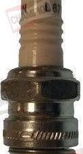 CHAMPION SPARK PLUG
