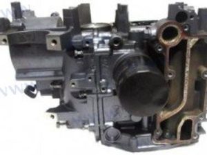 CRANKCASE ASSY