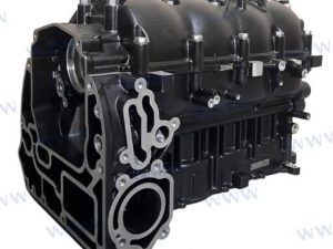 CRANKCASE ASSY