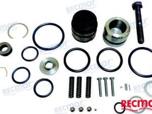 CYLINDER OVERHAUL KIT