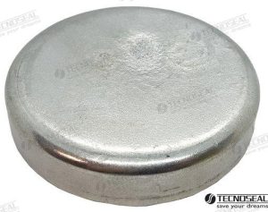 DISC IN ZINC DIA 100 H 20