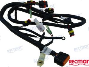 ECU CABLE ASSY