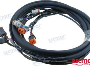 ELECTRICAL HARNESS 10'