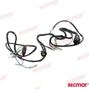 ENGINES HARNESS 85HP