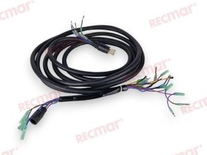 EXTENSION 10PINS WIRE HARNESS (6M)