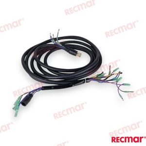 EXTENSION 10PINS WIRE HARNESS (6M)