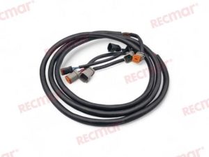 EXTENSION ARNES 10FT (3M)