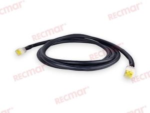 EXTENSION FOR DIGITAL ELECTRONIC CONTROL