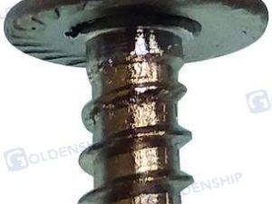 FAST SNAP FIBRIC GLASS WOOD SCREW (100)