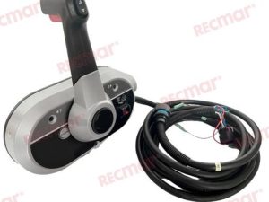 HANDLE ASSEMBLY WITH TRIM