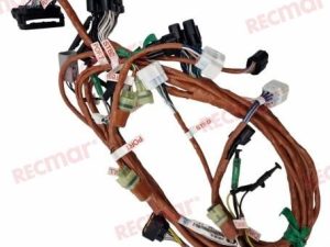 HARNESS ASSY BCM NO.1 MULT