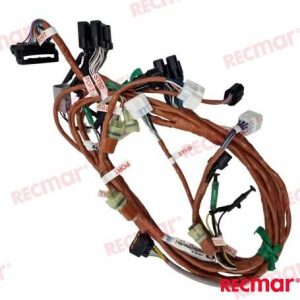 HARNESS ASSY BCM NO.1 MULT