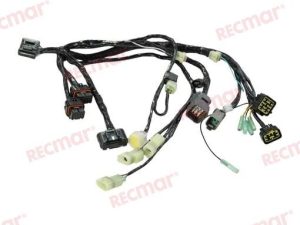HARNESS ASSY BCM NO.1 SNGL