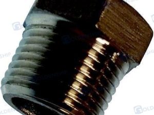 HEX HEAD PLUG  AISI 316   2"