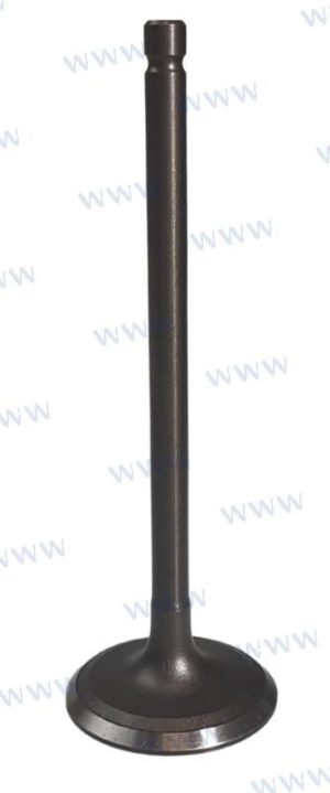 INTAKE VALVE