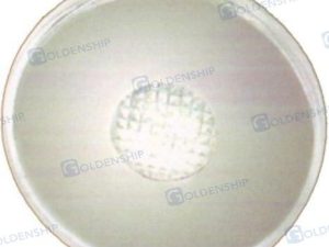 LED ROUND EXTERIOR LIGHT SS WHITE