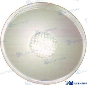 LED ROUND EXTERIOR LIGHT SS WHITE