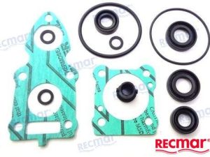 LOWER UNIT GASKET KIT