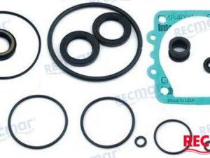 LOWER UNIT GASKET KIT