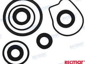 LOWER UNIT SEAL KIT
