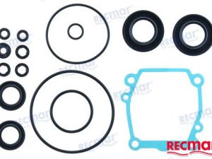LOWER UNIT SEAL KIT