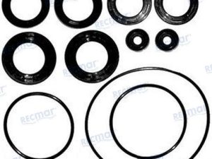 LOWER UNIT SEAL KIT