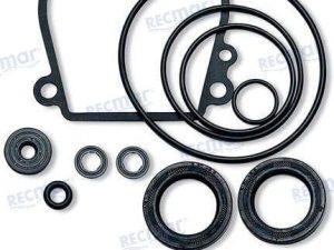 LOWER UNIT SEAL KIT