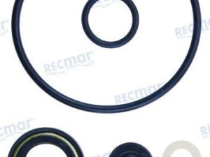 LOWER UNIT SEAL KIT