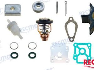 MERCURY MAINTENANCE KIT
