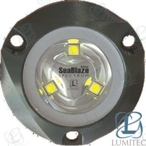 MINI UNDERWATER 2PAK BLUE LIGHT OUTPUT