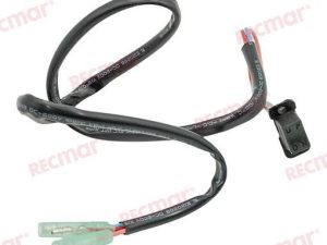 PTT SWITCH ASSY