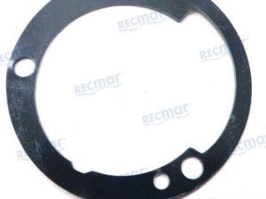 PUMP GASKET
