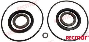 REC23018 - SEAL KIT LOWER UNIT DPH, DPH-