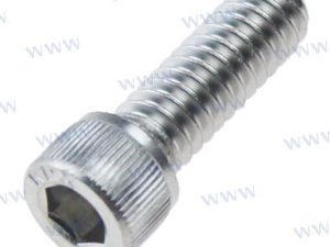 SC SOC CAP 1/4-20X3/4L 316SS