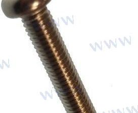 SCREW  SMALL PAN HEAD M6X30