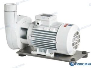 SEA WATER PUMP B-C(M) 41/1E (0,75 kW)