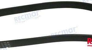 SERPENTINE BELT