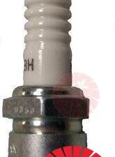 SPARK PLUG NGK BU8H