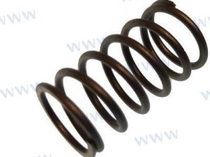 SPRING, VALVE STEM