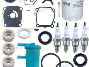 SUZUKI MAINTENANCE KIT