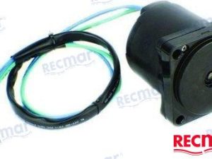 TRIM MOTOR