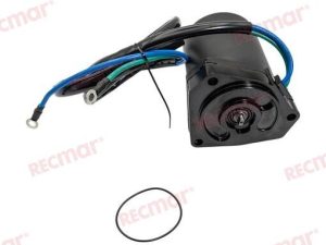TRIM MOTOR