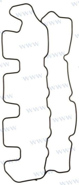 VALVE COVER GASKET D2