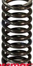 VALVE SPRING