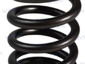 VALVE SPRING