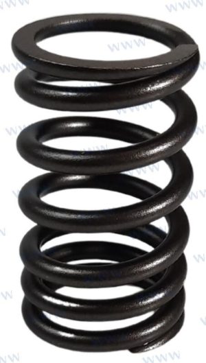 VALVE SPRING